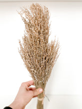 Load image into Gallery viewer, Natural Star Grass Bunch

