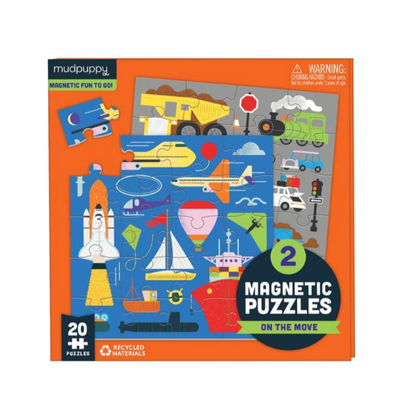 On the Move Magnetic Puzzle