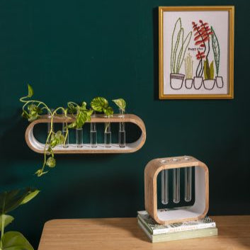 Kennedy Propagation Stand