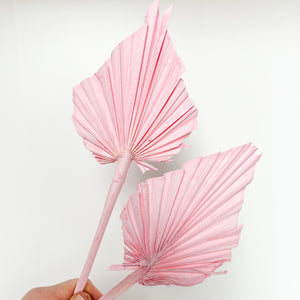 Pink Palm Spear
