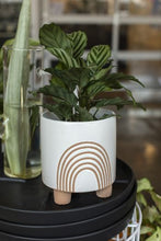 Load image into Gallery viewer, Asha Terracotta Planter
