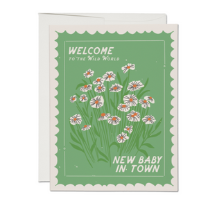 Daisies on green card to welcome the new baby in town