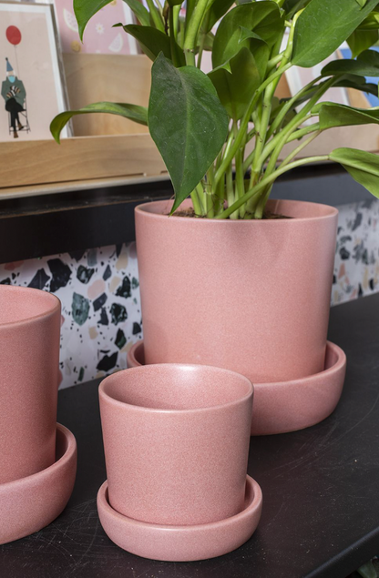 Watson Pot