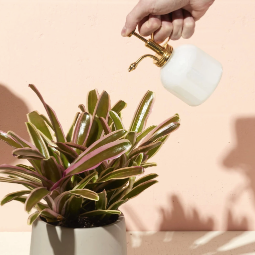 White Glass mister, misting plant
