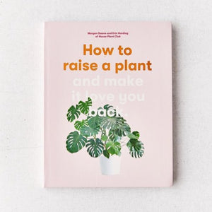 How to Raise A House Plant