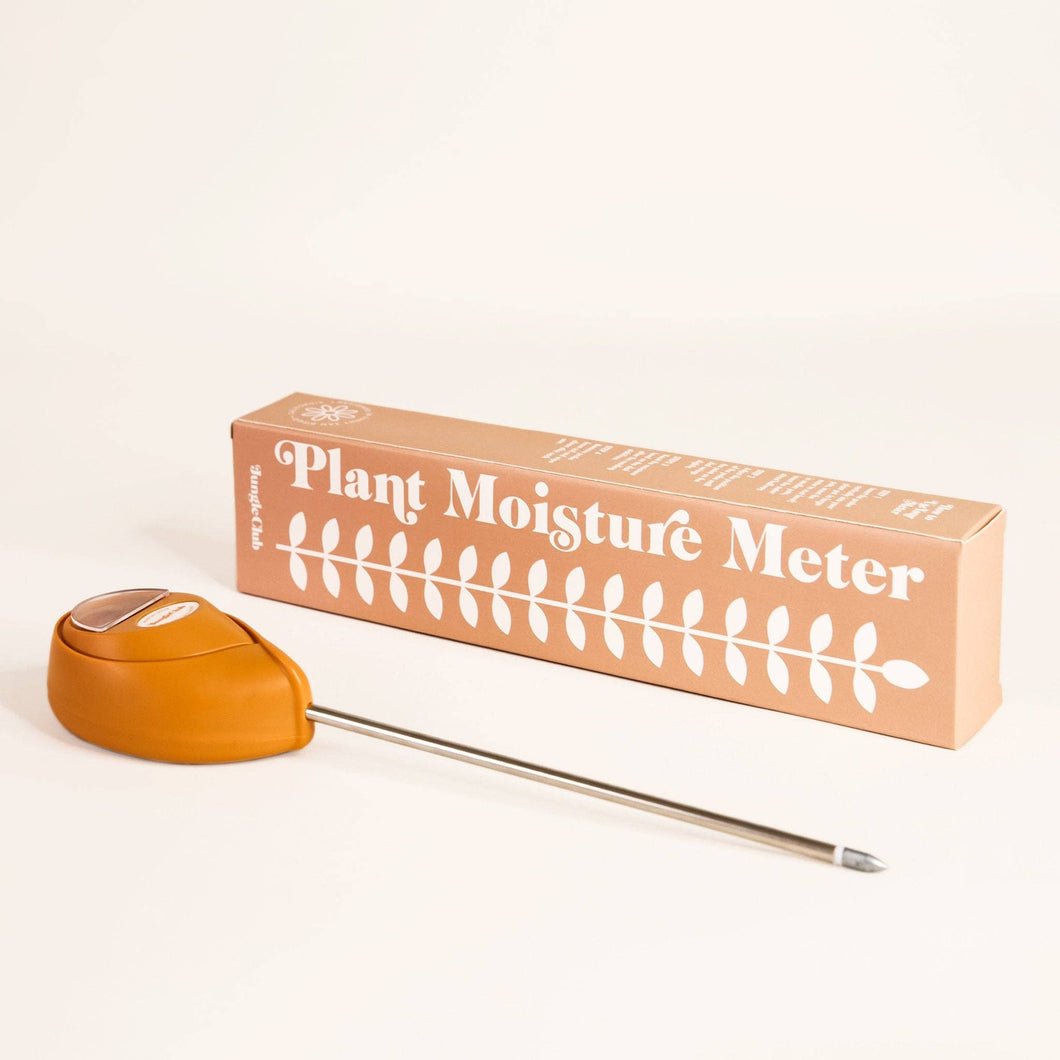 Moisture Meter- Terracotta