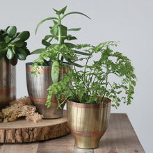 Load image into Gallery viewer, Engraved Brass and Gold/Silver Pots Shown with Plants
