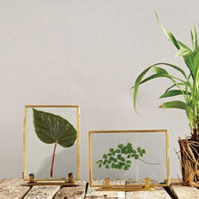 Load image into Gallery viewer, Brass Standing Photo Frames with pressed leaves on table with plant
