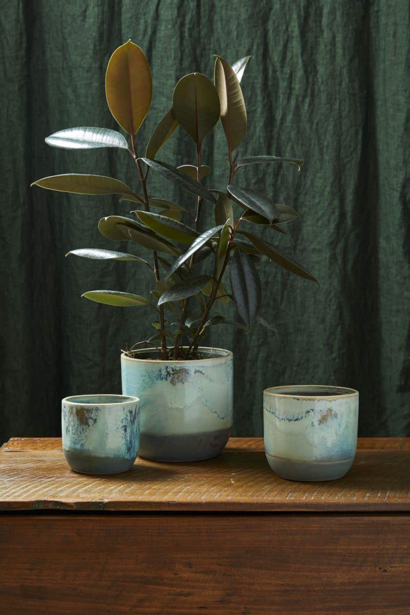 Caribe Pot