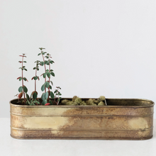 Load image into Gallery viewer, Galvanized Metal Window Planter filled with small plants and moss
