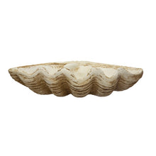 Load image into Gallery viewer, Magnesia Clam Shell Décor
