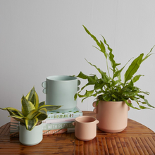 Load image into Gallery viewer, Jamye Pot in two sizes and colors with plants
