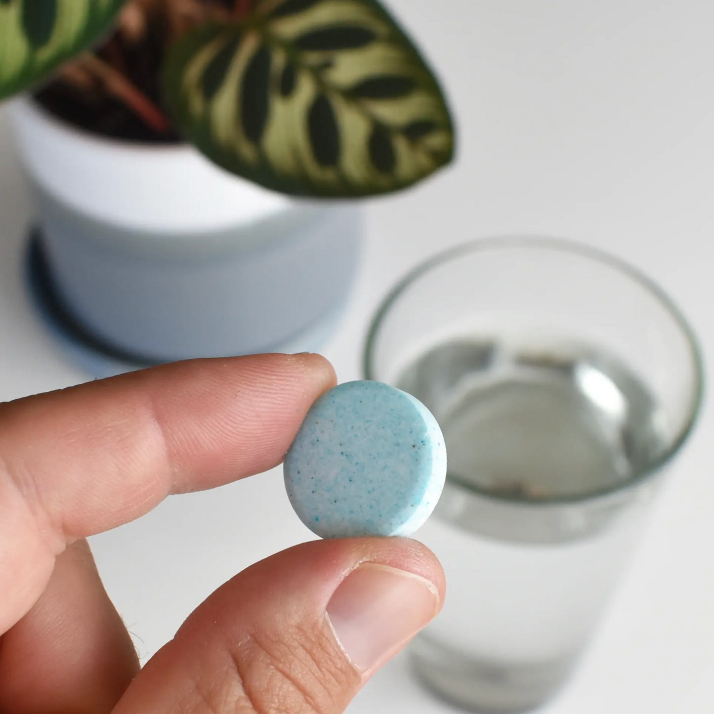 Instant Plant Food Tablets