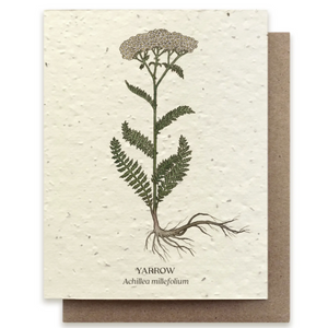 Yarrow - Seeded Plantable Card